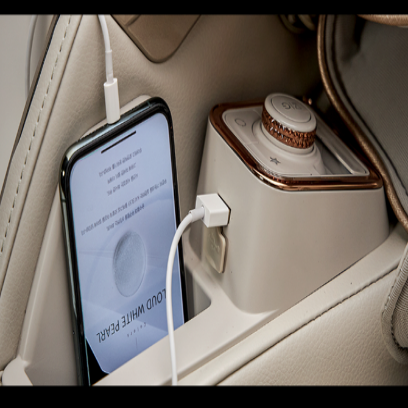 Phone charging in a car's cup holder with a container on top